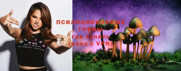 стаф Навашино
