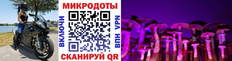 Галлюциногенные грибы MAGIC MUSHROOMS  Россошь 