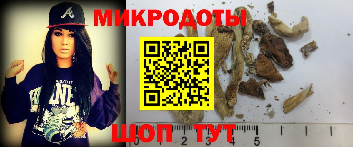 Псилоцибиновые грибы Psilocybine cubensis  где купить   Россошь  Вход с VPN 