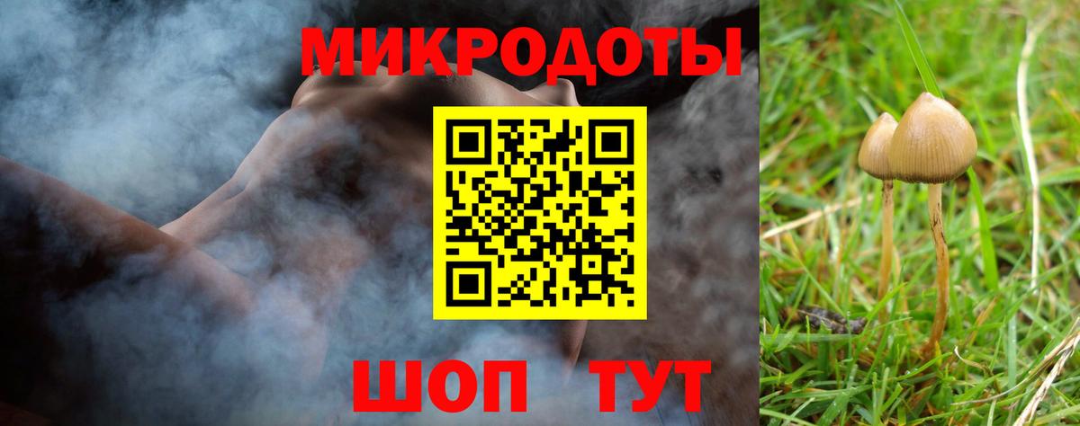Галлюциногенные грибы мицелий Россошь