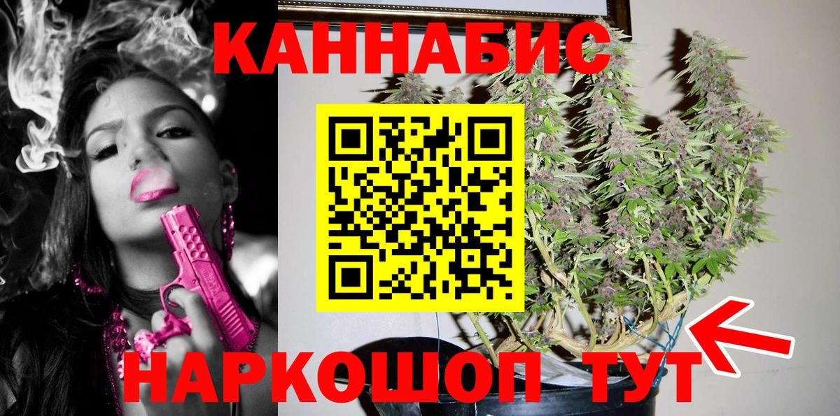 Канабис планчик  Марихуана сатива  Россошь  Вход с VPN 